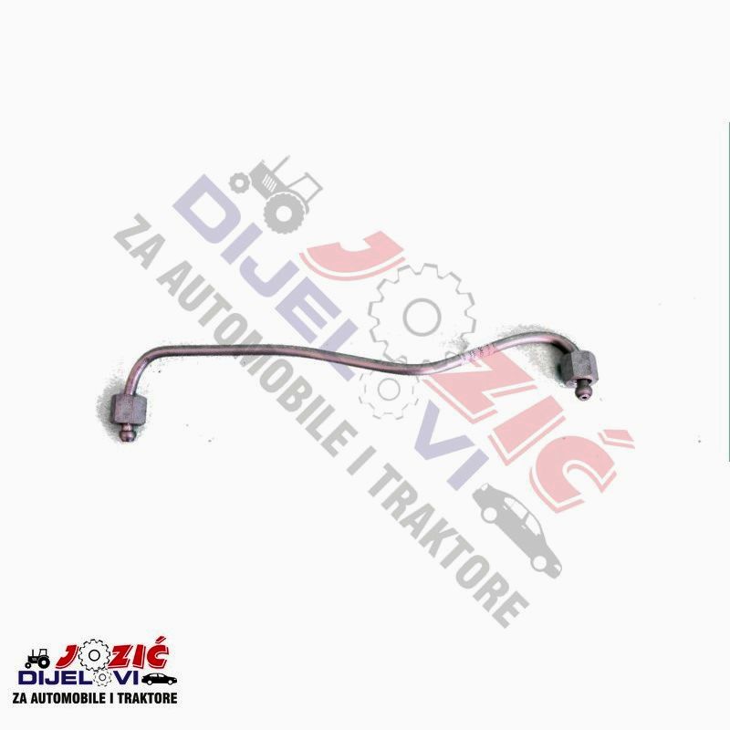 Daisy on the Ohoopee